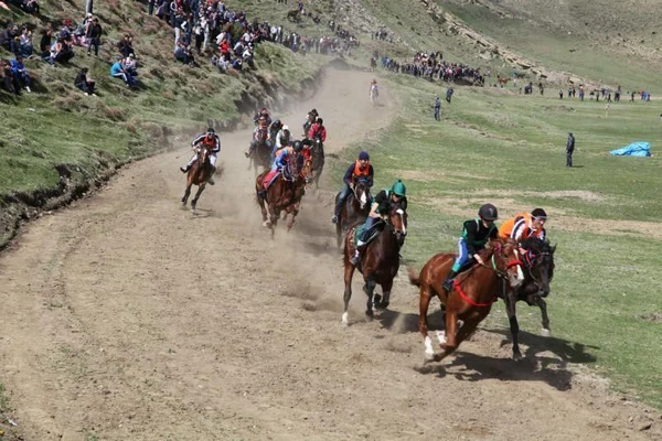 ПЕРВОМАЙСКИЕ КОННЫЕ СКАЧКИ В БОТЛИХЕ