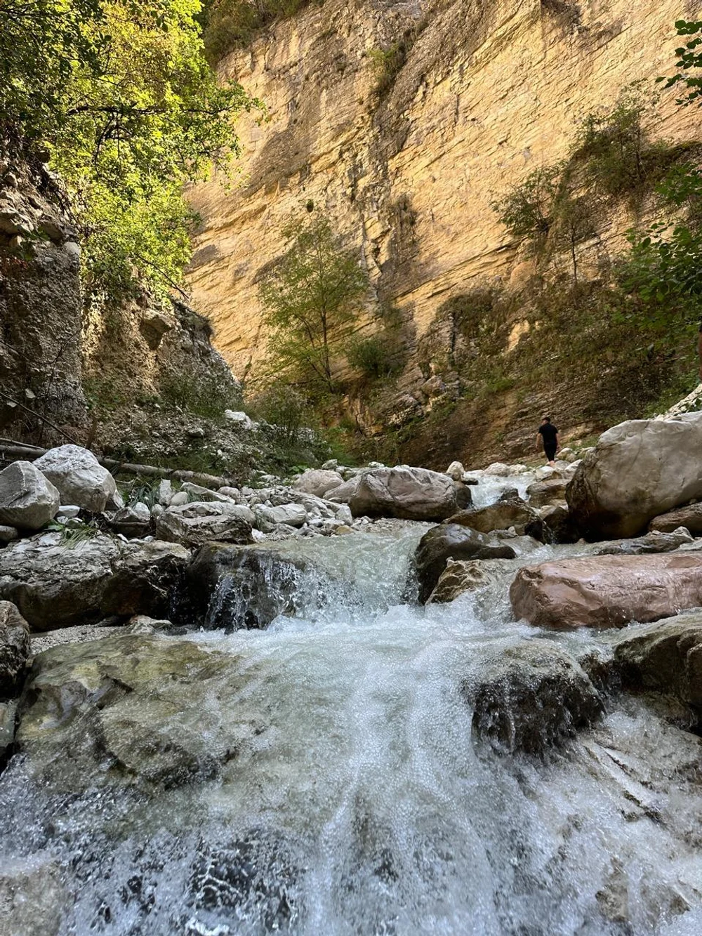 Как сэкономить на поездке?